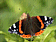 babo�ka